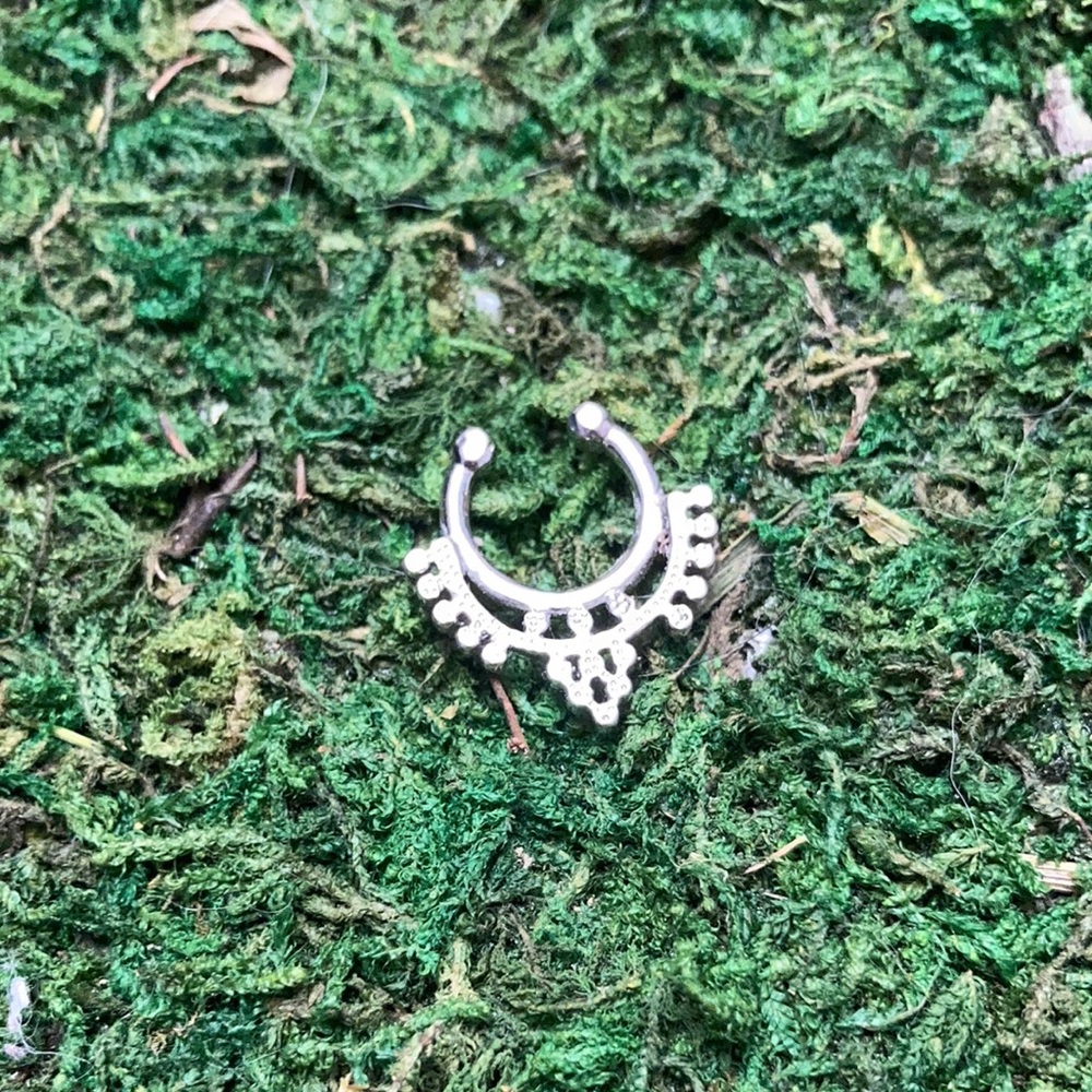FAUX SEPTUM RINGS - Picture 3 of 9